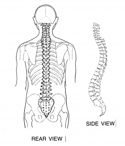 back pain dallas