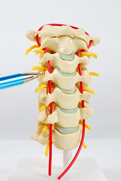Medial Branch block Dallas