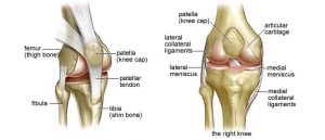 knee replacement pegasus pain
