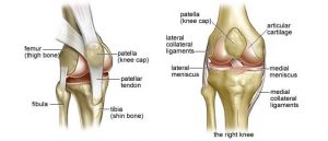 knee replacement pegasus pain